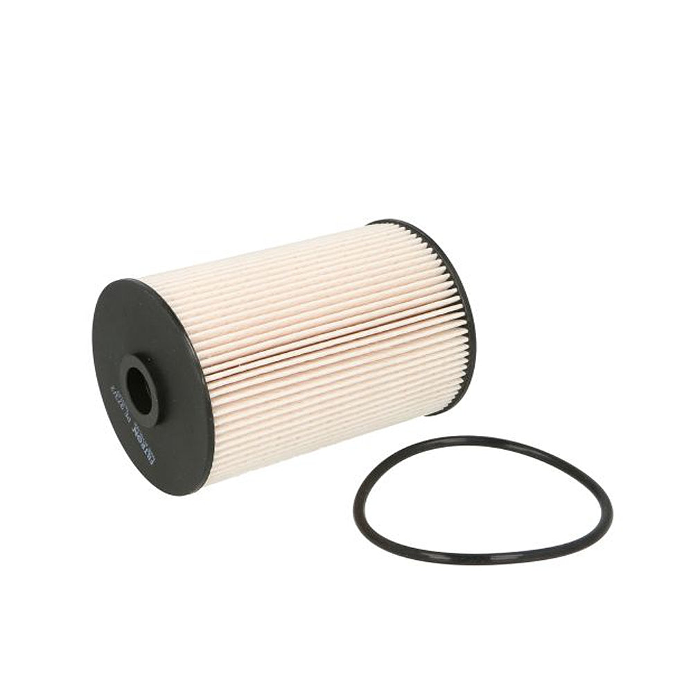 Filter goriva FILTRON - PE 973/2