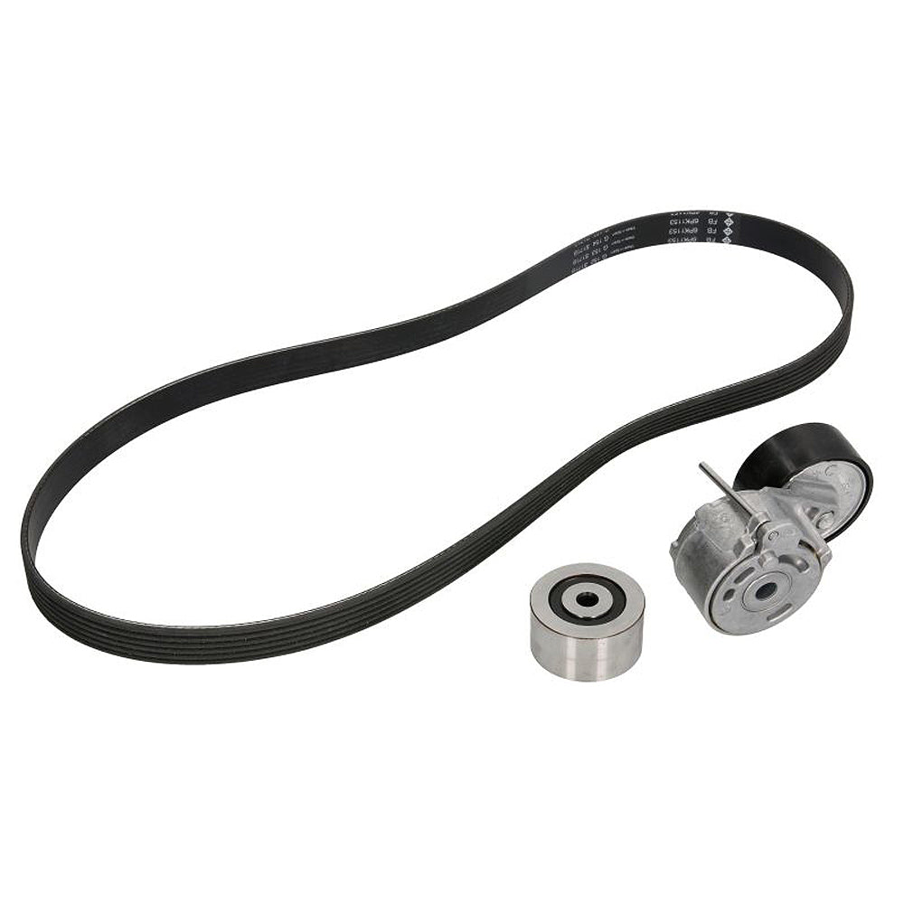 Garnitura klinastog rebrastog kaiša INA - 529 0019 10